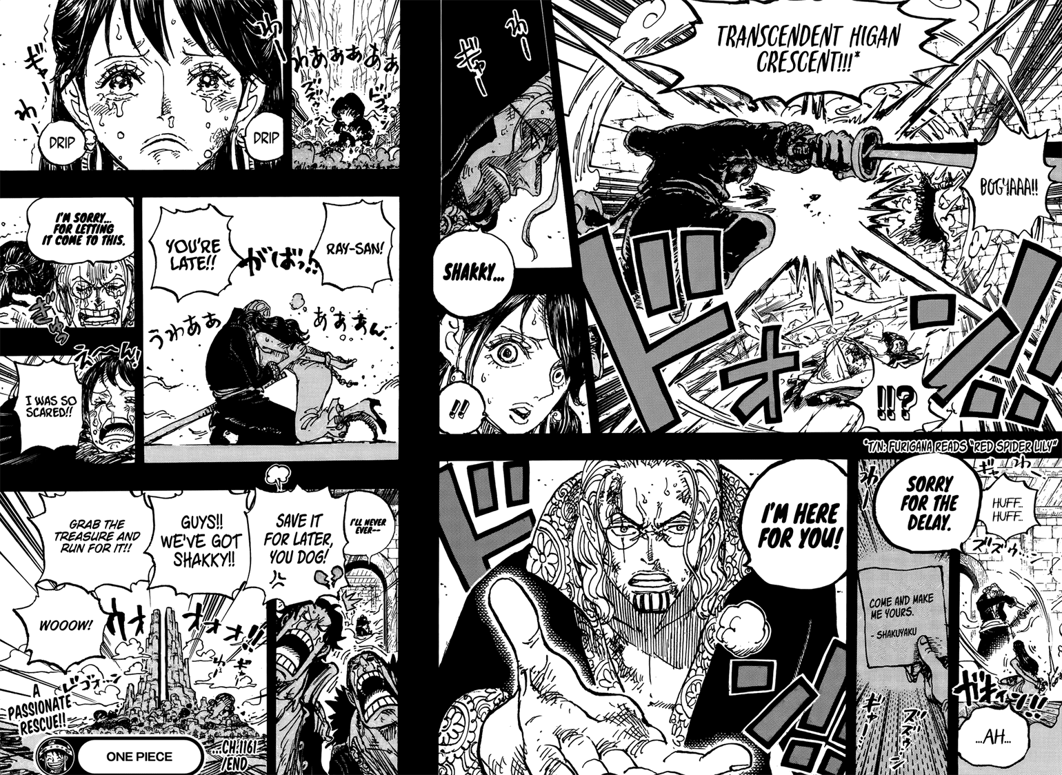 One Piece, Chapter 1161 image 16